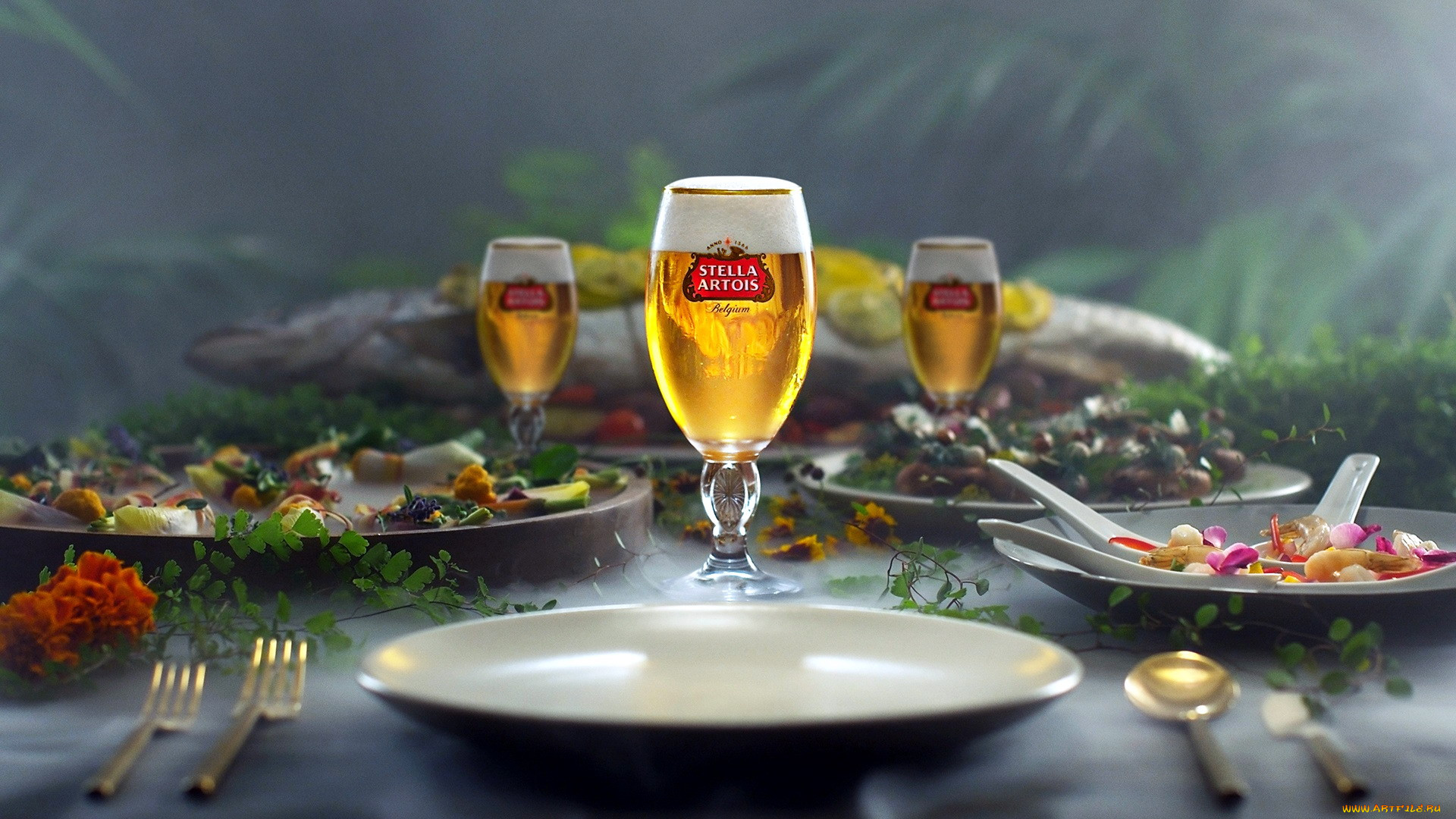 , stella artois, 